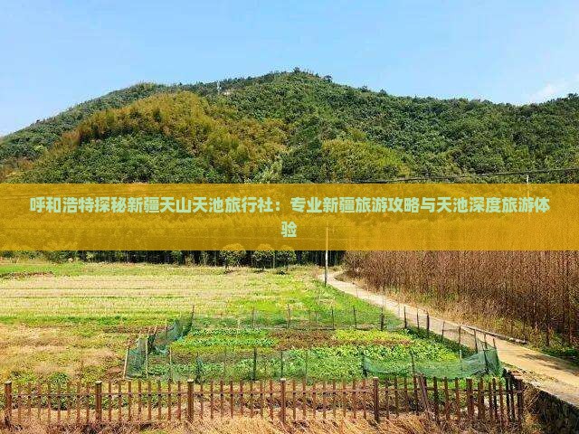 呼和浩特探秘新疆天山天池旅行社：专业新疆旅游攻略与天池深度旅游体验