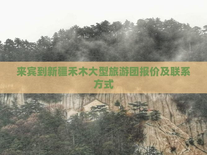 来宾到新疆禾木大型旅游团报价及联系方式