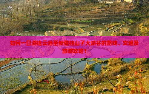 如何一日游连云港至新疆独山子大峡谷的路线、交通及旅游攻略？