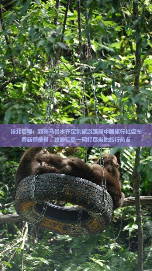 张北启程：新疆乌鲁木齐定制旅游路犀中国旅行社包车看新疆美景，攻略信息一网打尽当地旅行热点