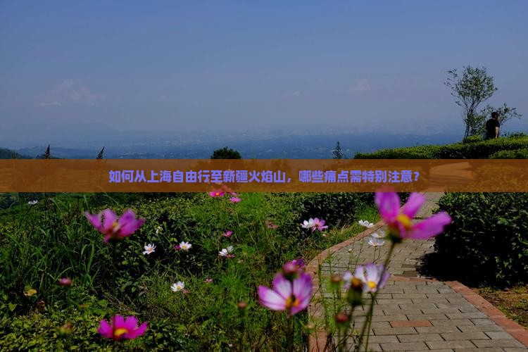 如何从上海自由行至新疆火焰山，哪些痛点需特别注意？