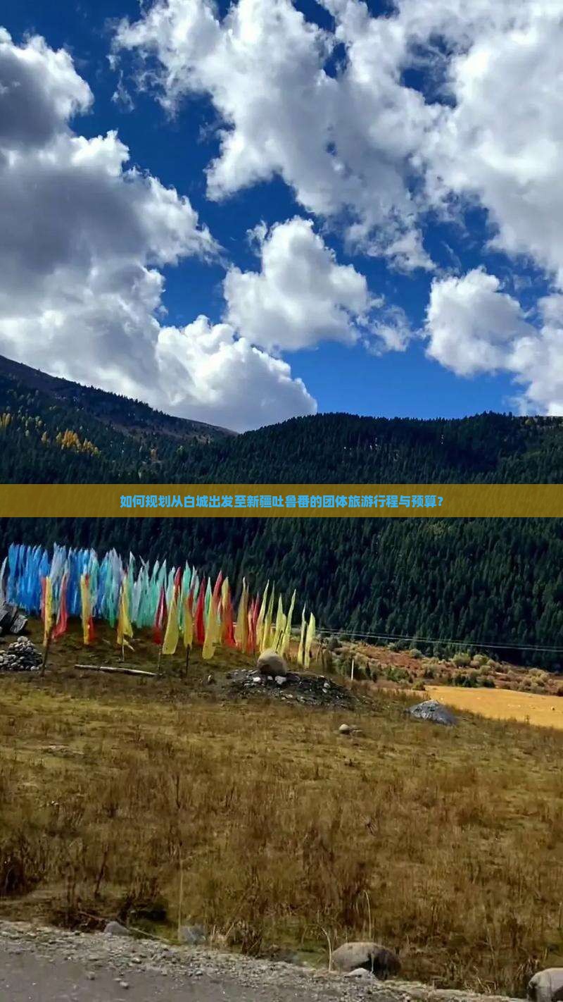 如何规划从白城出发至新疆吐鲁番的团体旅游行程与预算？