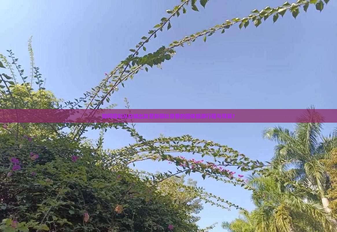 如何规划从白城出发至新疆吐鲁番的团体旅游行程与预算？