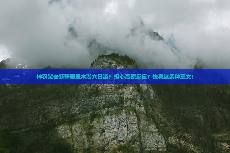 神农架去新疆赛里木湖六日游？担心高原反应？快看这条种草文！