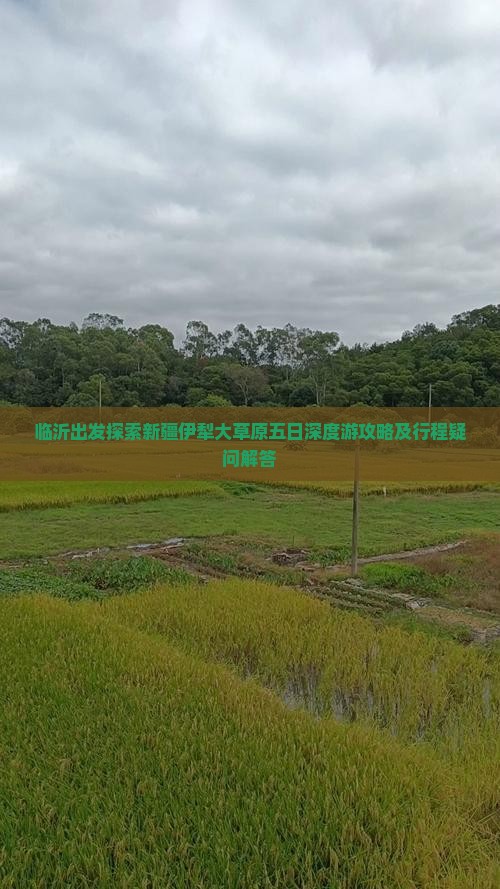 临沂出发探索新疆伊犁大草原五日深度游攻略及行程疑问解答