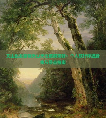 文山出发新疆天山天池旅游攻略：个人旅行详细路线与景点指南