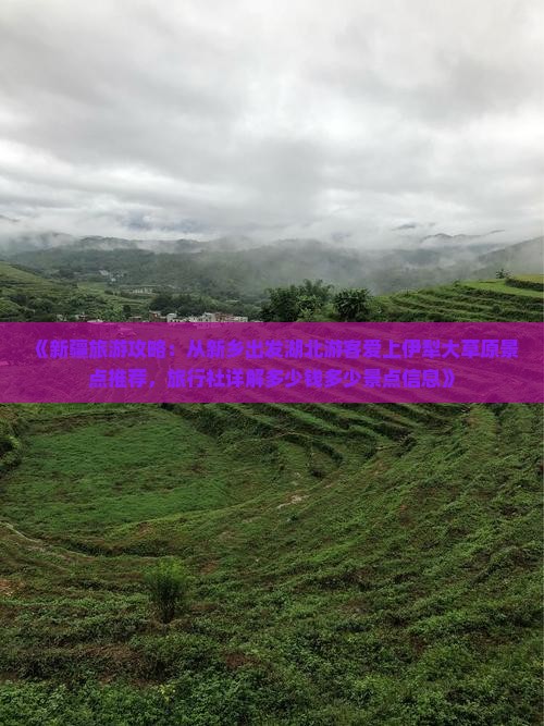 《新疆旅游攻略：从新乡出发湖北游客爱上伊犁大草原景点推荐，旅行社详解多少钱多少景点信息》
