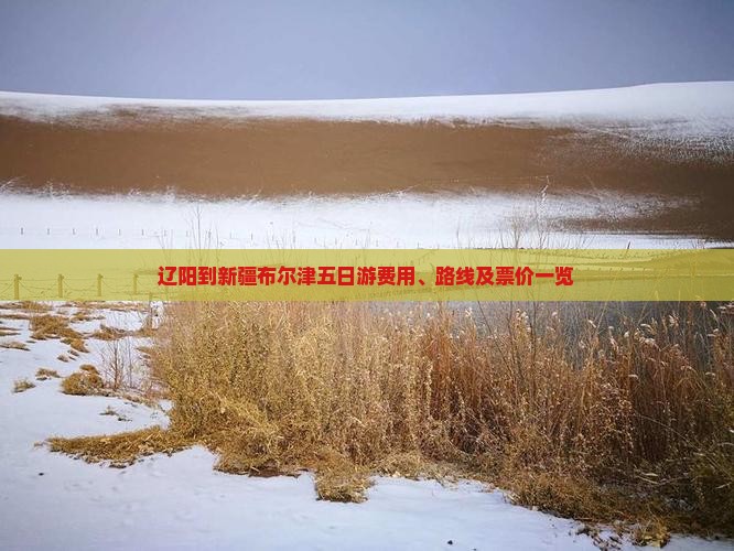 辽阳到新疆布尔津五日游费用、路线及票价一览
