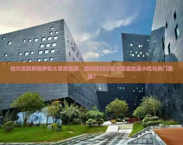哈尔滨到新疆伊犁大草原旅游，如何规划行程才蘑遍地道小吃与热门美食？