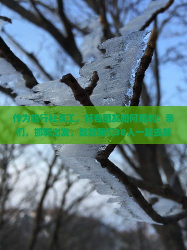 作为旅行社员工，好奇团友如何规划：亲们，邯郸出发，数数我们38人一起去新疆可可托海，旅途中哪些美景让你心动？