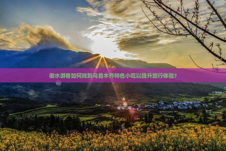 衡水游客如何找到乌鲁木齐特色小吃以提升旅行体验？