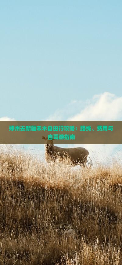 郑州去新疆禾木自由行攻略：路线、费用与自驾游指南