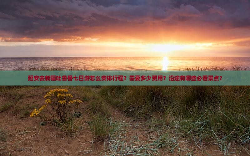 延安去新疆吐鲁番七日游怎么安排行程？需要多少费用？沿途有哪些必看景点？