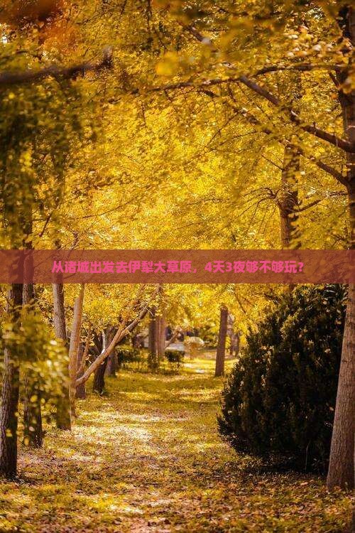 从诸城出发去伊犁大草原，4天3夜够不够玩？