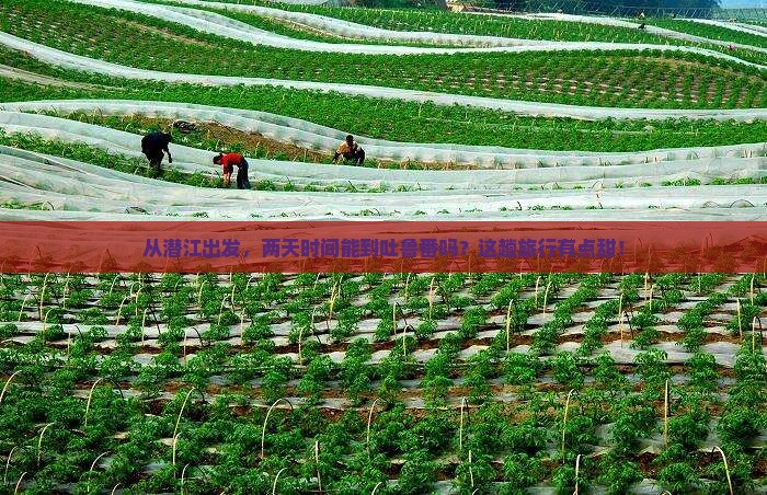 从潜江出发，两天时间能到吐鲁番吗？这趟旅行有点甜！