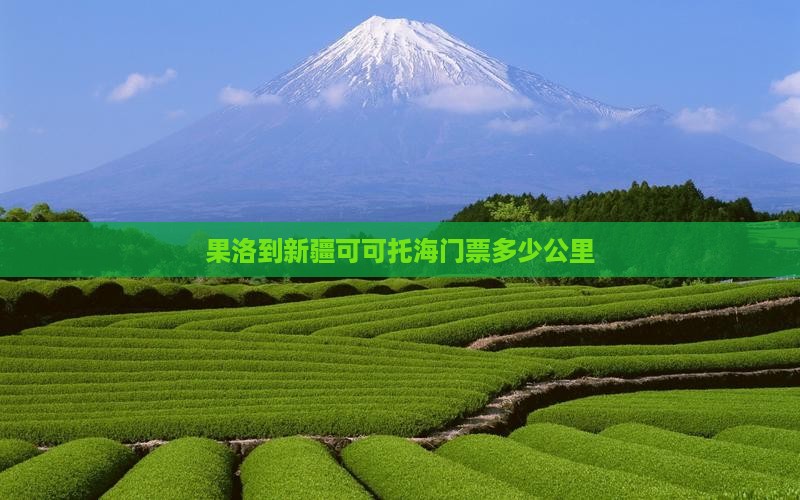 果洛到新疆可可托海门票多少公里