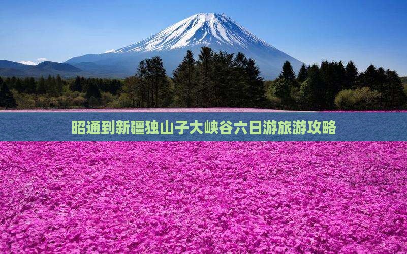 昭通到新疆独山子大峡谷六日游旅游攻略