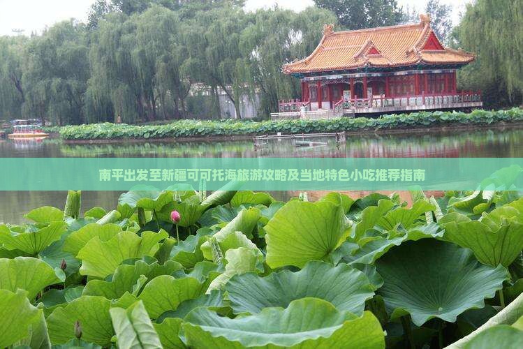 南平出发至新疆可可托海旅游攻略及当地特色小吃推荐指南