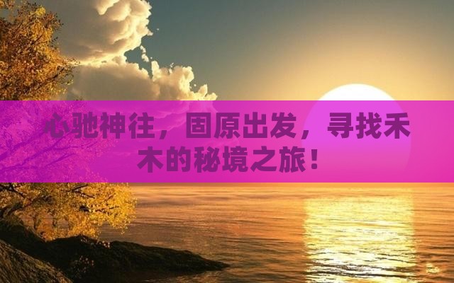 心驰神往，固原出发，寻找禾木的秘境之旅！