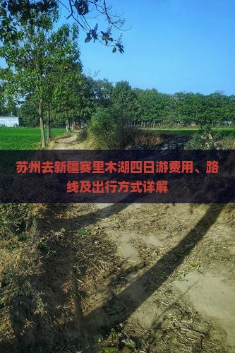 苏州去新疆赛里木湖四日游费用、路线及出行方式详解
