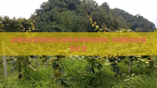 武威出发新疆独库公路景点深度游攻略：新疆旅游必体验之旅
