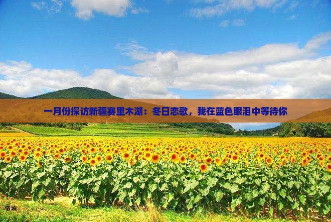 一月份探访新疆赛里木湖：冬日恋歌，我在蓝色眼泪中等待你
