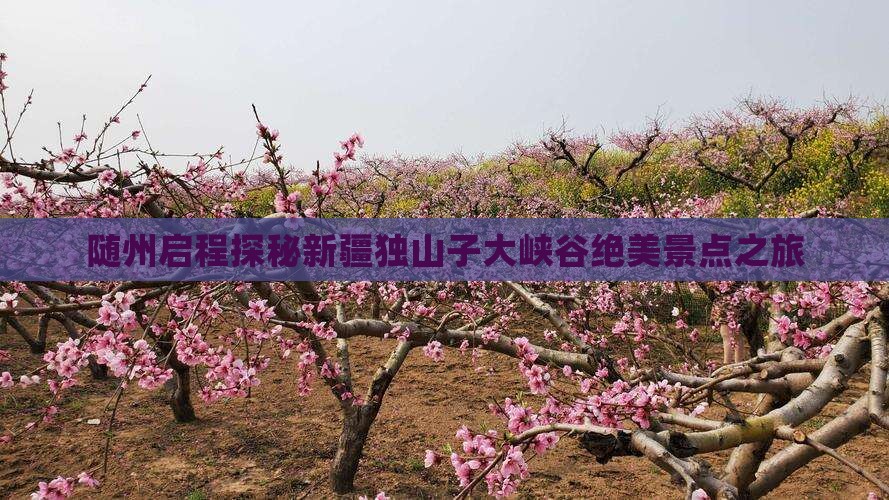 随州启程探秘新疆独山子大峡谷绝美景点之旅