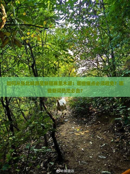如何从张北畅游至新疆赛里木湖：哪些痛点必须避免？哪些新词热地必去？