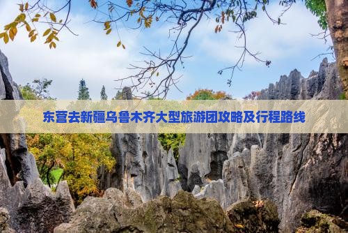 东营去新疆乌鲁木齐大型旅游团攻略及行程路线