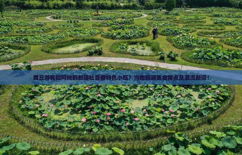 商丘游客如何找到新疆吐鲁番特色小吃？当地旅游美食痛点及潮流新词！
