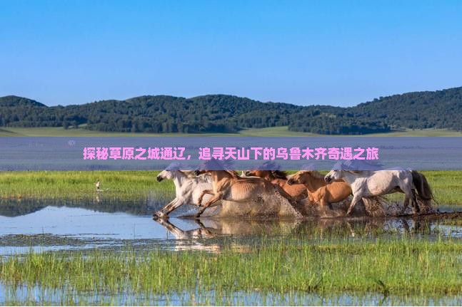 探秘草原之城通辽，追寻天山下的乌鲁木齐奇遇之旅