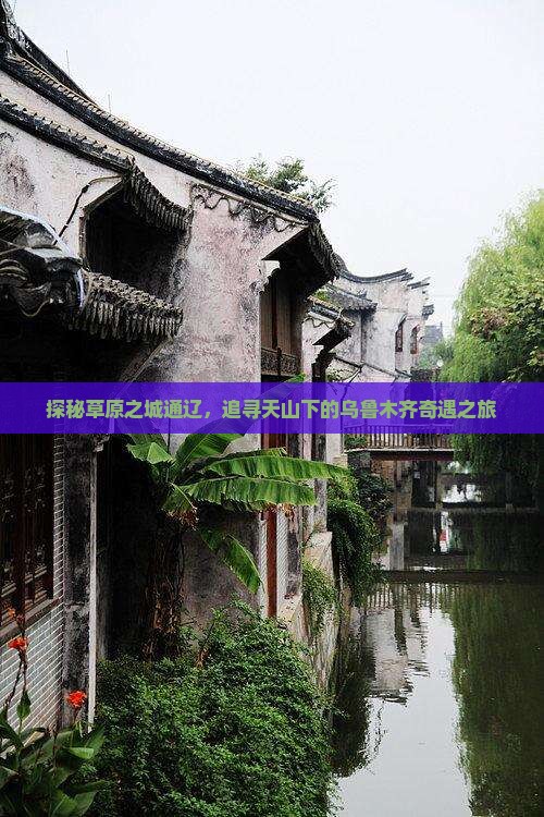 探秘草原之城通辽，追寻天山下的乌鲁木齐奇遇之旅