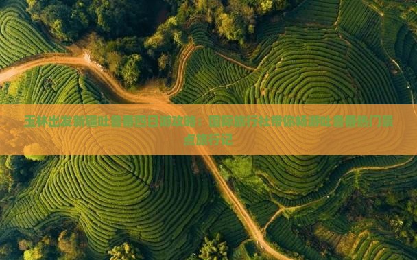 玉林出发新疆吐鲁番四日游攻略：国际旅行社带你畅游吐鲁番热门景点旅行记