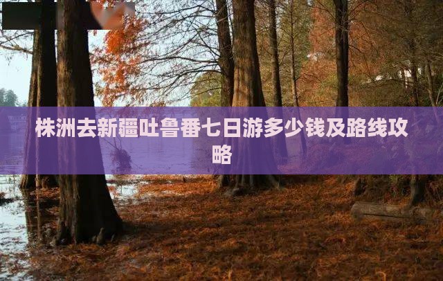 株洲去新疆吐鲁番七日游多少钱及路线攻略