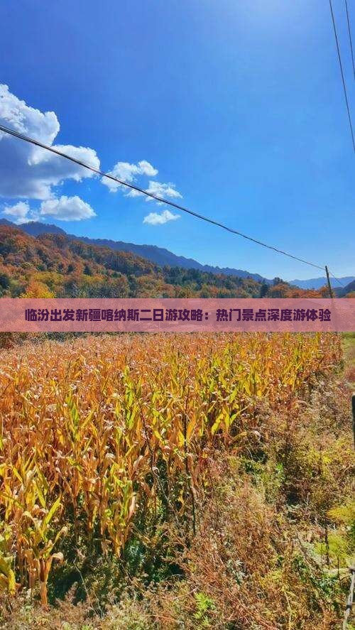 临汾出发新疆喀纳斯二日游攻略：热门景点深度游体验
