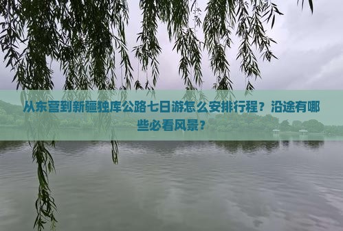 从东营到新疆独库公路七日游怎么安排行程？沿途有哪些必看风景？