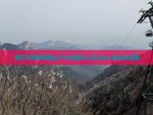 通辽市到新疆独山子大峡谷双人游 plus 峡谷探险团
