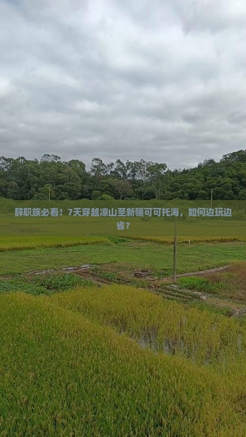 辞职族必看！7天穿越凉山至新疆可可托海，如何边玩边省？