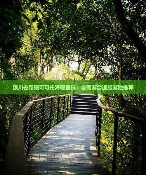 银川去新疆可可托海哪里玩：自驾游合适旅游地推荐