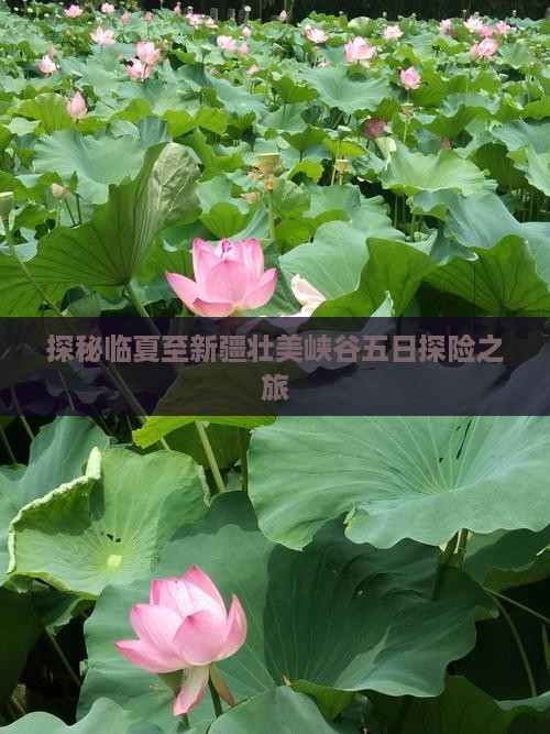 探秘临夏至新疆壮美峡谷五日探险之旅