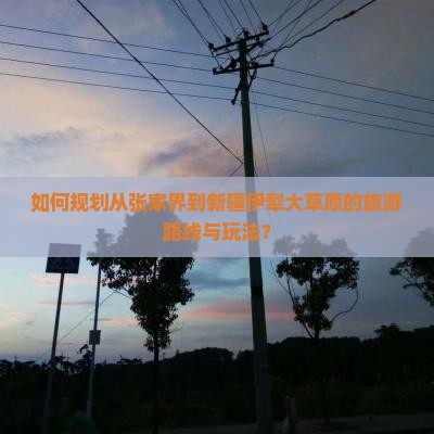 如何规划从张家界到新疆伊犁大草原的旅游路线与玩法？
