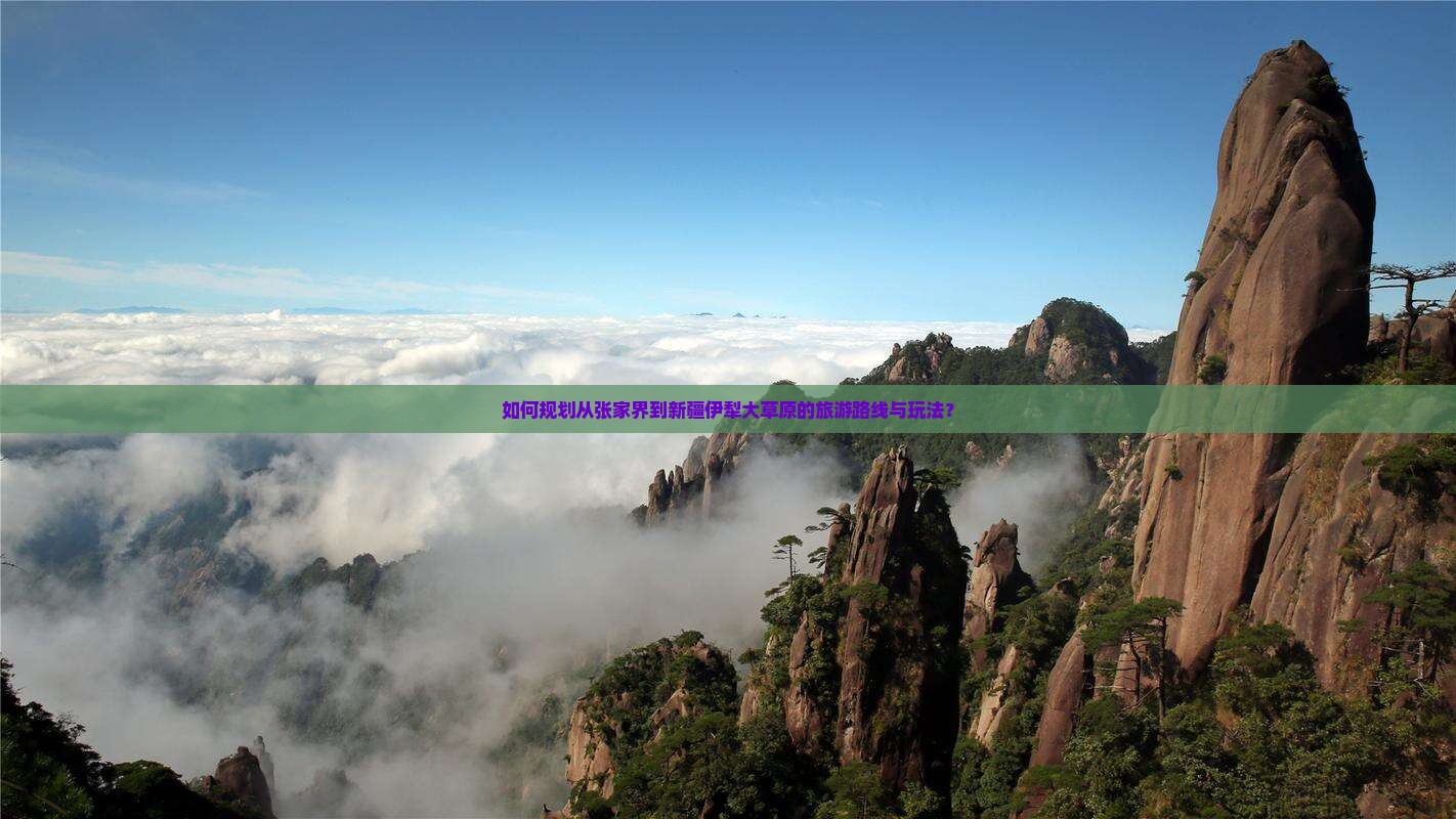 如何规划从张家界到新疆伊犁大草原的旅游路线与玩法？