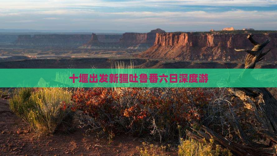 十堰出发新疆吐鲁番六日深度游