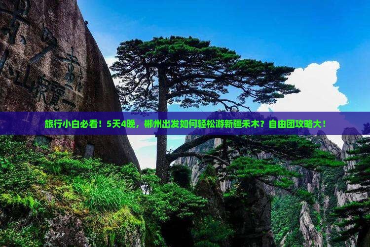 旅行小白必看！5天4晚，郴州出发如何轻松游新疆禾木？自由团攻略大！