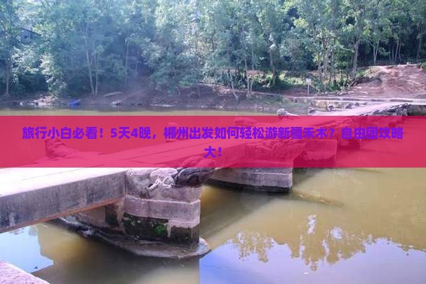 旅行小白必看！5天4晚，郴州出发如何轻松游新疆禾木？自由团攻略大！