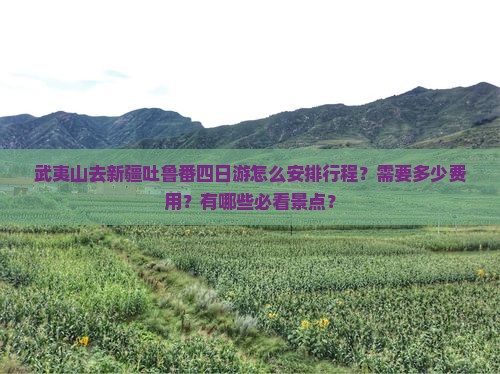 武夷山去新疆吐鲁番四日游怎么安排行程？需要多少费用？有哪些必看景点？