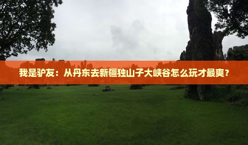 我是驴友：从丹东去新疆独山子大峡谷怎么玩才最爽？