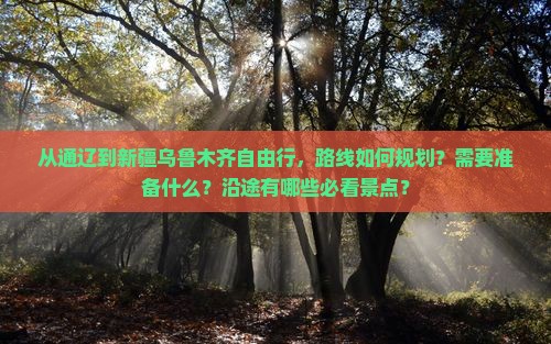 从通辽到新疆乌鲁木齐自由行，路线如何规划？需要准备什么？沿途有哪些必看景点？