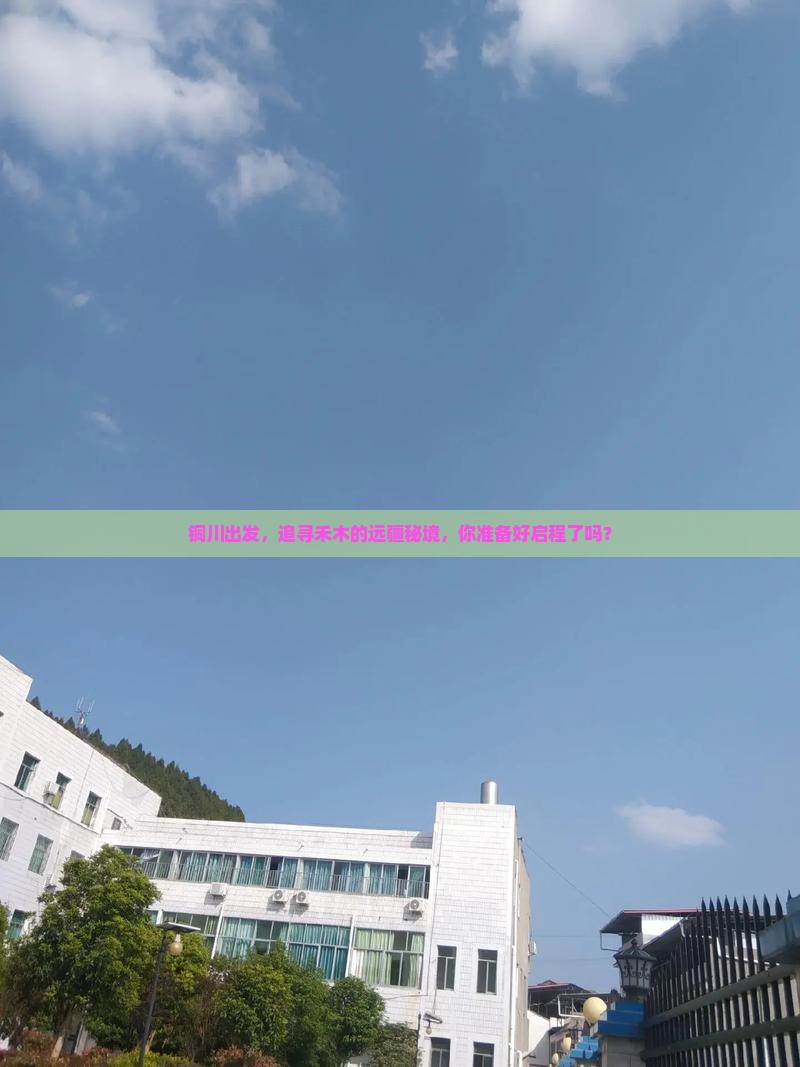 铜川出发，追寻禾木的远疆秘境，你准备好启程了吗？