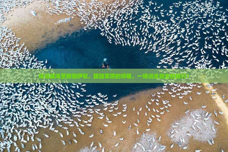 探寻威海至新疆伊犁，跟随草原的呼唤，一场说走就走的旅行？